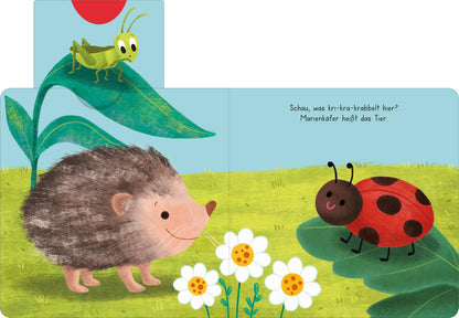 Kni-Kna-Knatterbuch – Kleine Tiere